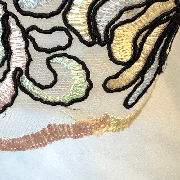 Topshop Embroidered Sheer Floral Lace Blouse - Picture 11 of 12